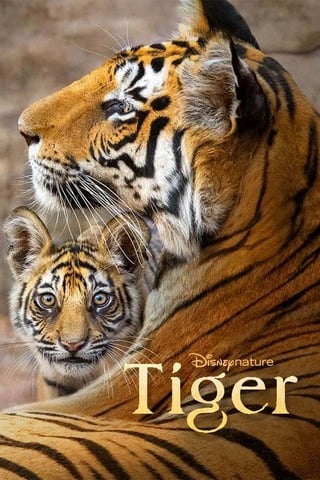 ดูหนัง Tiger (2024) เต็มเรื่อง