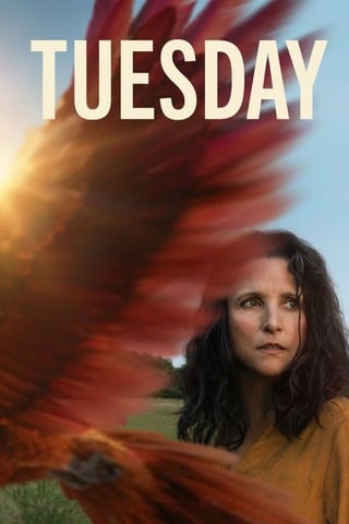 ดูหนัง Tuesday (2024) ทิวส์เดย์ ดวงใจไม่หวนกลับ เต็มเรื่อง