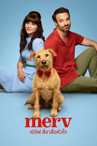 ดูหนัง Merv (2025) เมิร์ฟ สี่ขาสื่อหัวใจ เต็มเรื่อง