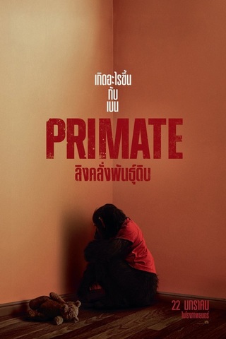 ดูหนัง Primate (2026) ลิงคลั่งพันธุ์ดิบ เต็มเรื่อง