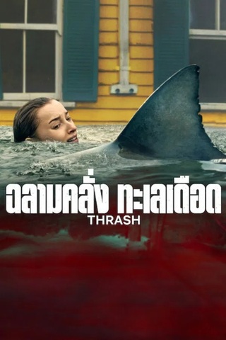 ดูหนัง Thrash (2026) ฉลามคลั่ง ทะเลเดือด เต็มเรื่อง